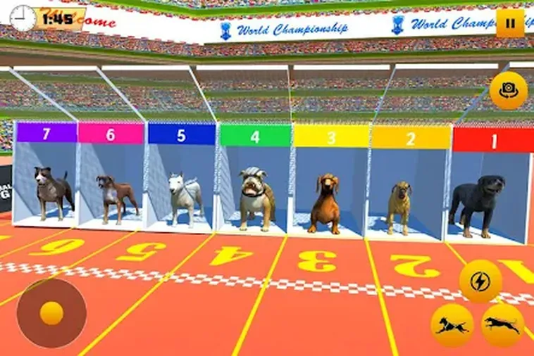 Bí Mật Thắng Lớn Game Nhanh Đua Chó Tại HappyLuke Trong Vài Phút 2 Bí Mật Thắng Lớn Game Nhanh Đua Chó Tại HappyLuke Trong Vài Phút